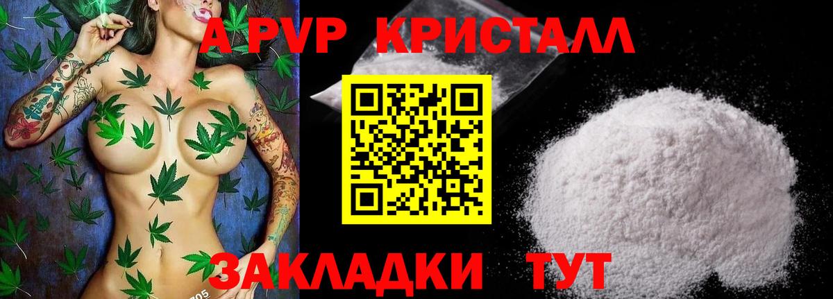 Alpha PVP СК Черногорск